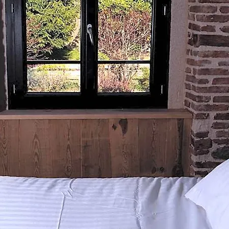 Zadig Aurillac